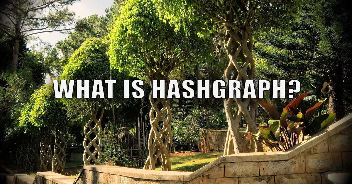 Hashgraph